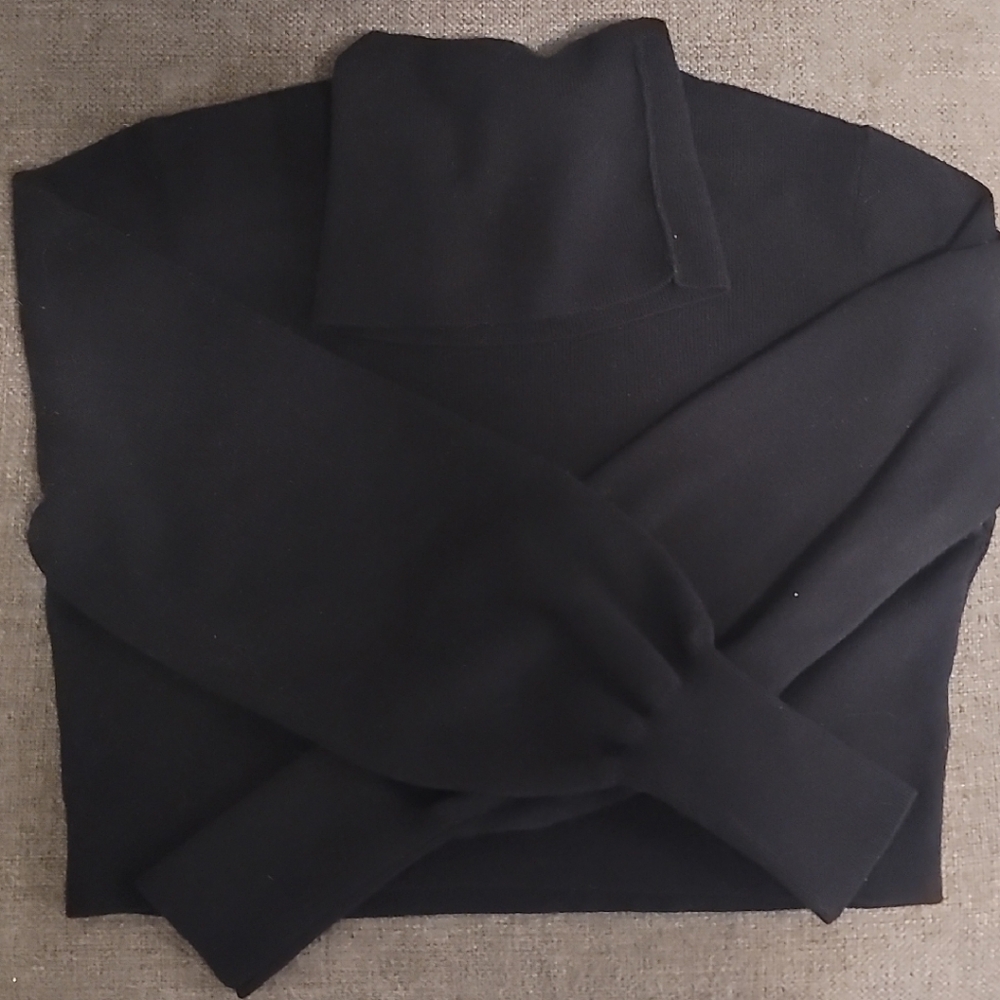 Aritzia Rebecca Black Turtleneck Sweater